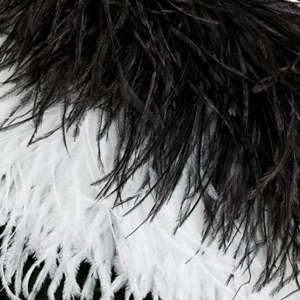 Ostrich Feathers & Plumes - Bulk Wholesale Feathers For Sale