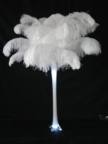 long feathers wholesale