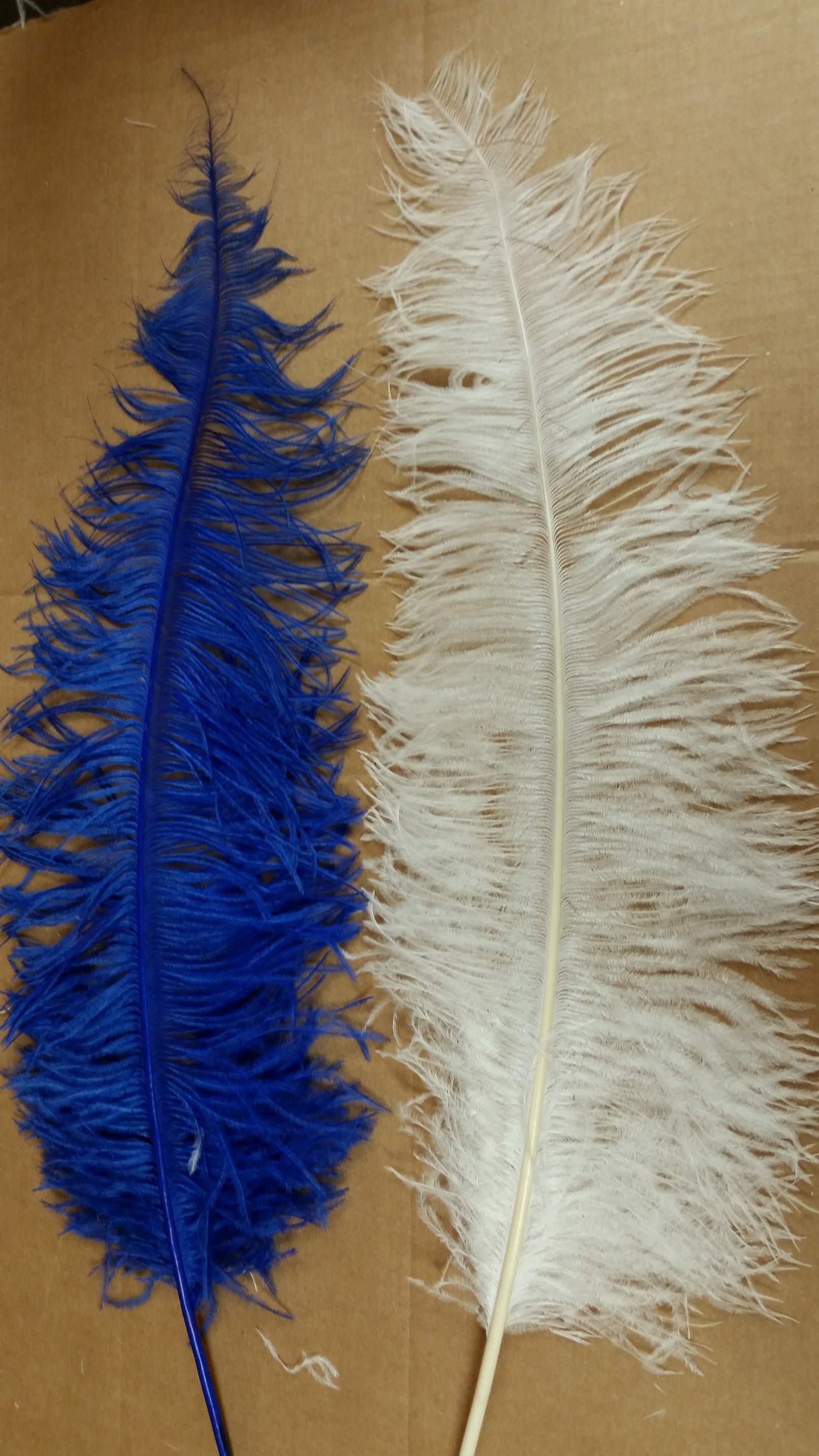 Black Natural Plume Ostrich Feathers Centerpiece - 24-26